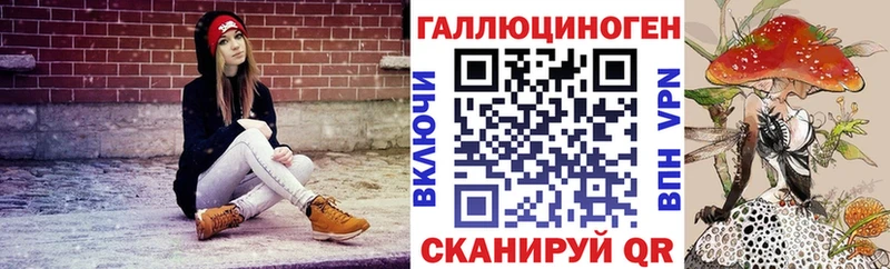 Псилоцибиновые грибы ЛСД  Новоалександровск 