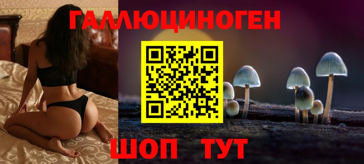 Новоалександровск  цены   Вход с VPN  Галлюциногенные грибы прущие грибы 